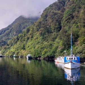 Doubtful Sound dock