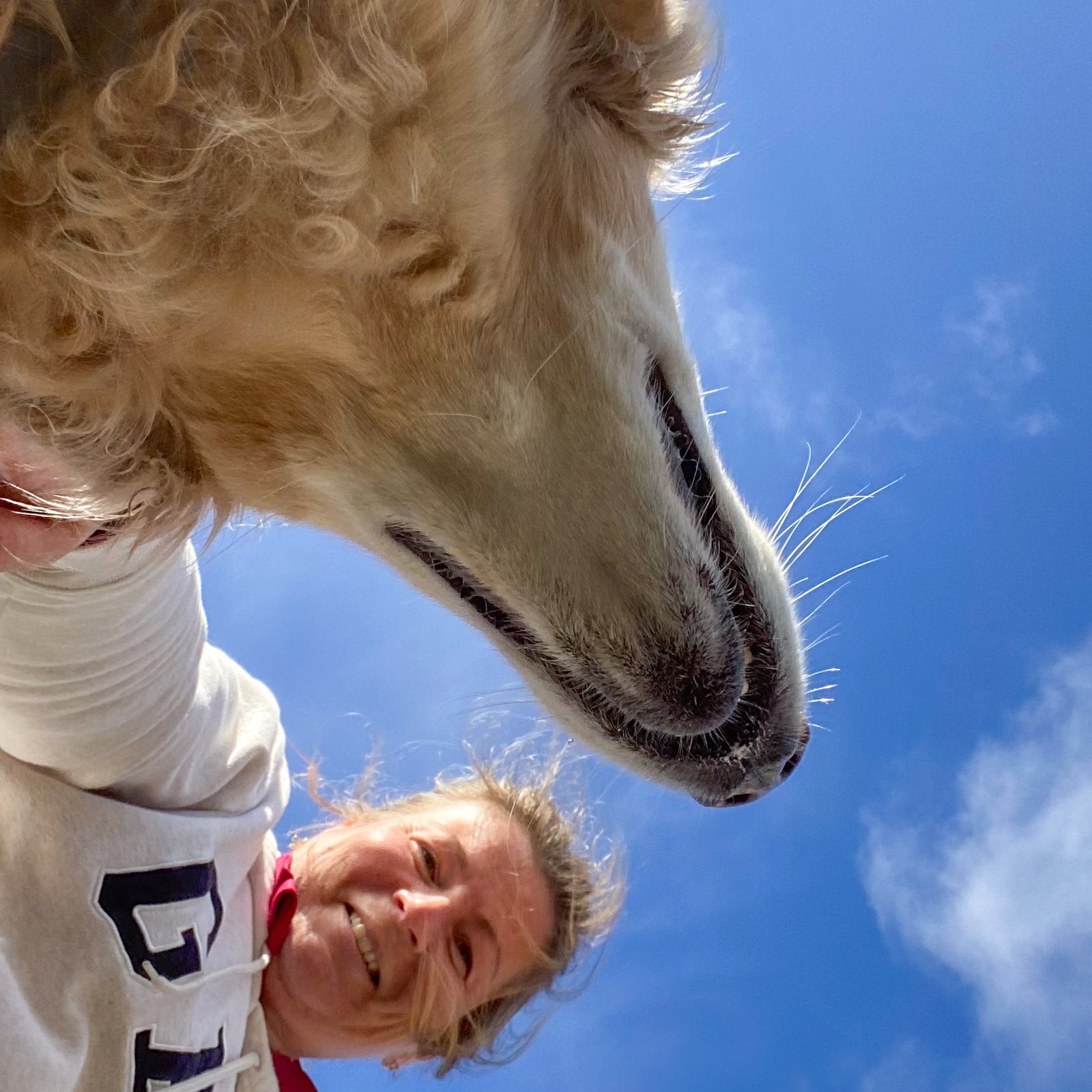 Your Trusted Housesitters