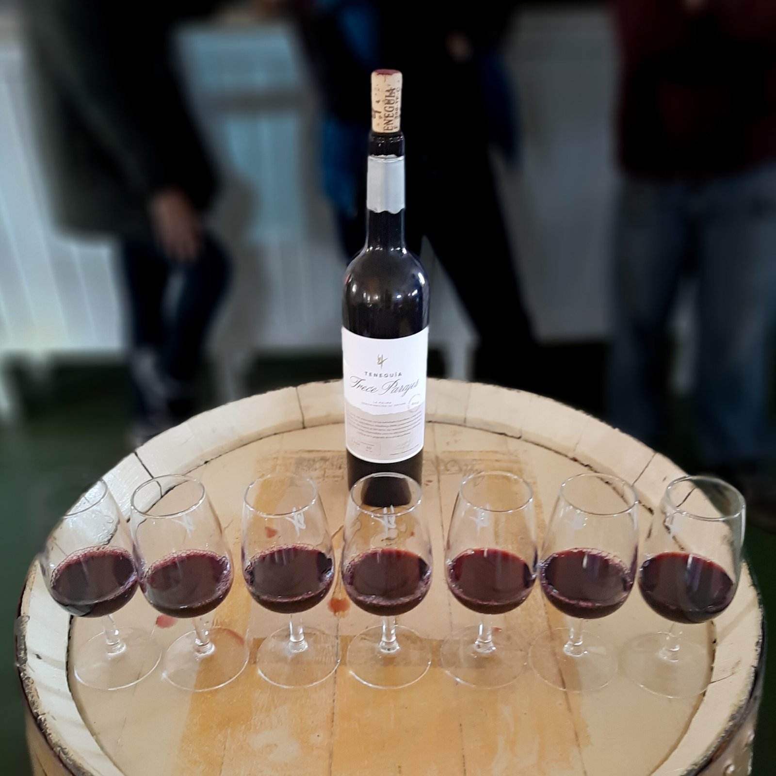 Wine tasting at Bodegas Teneguia