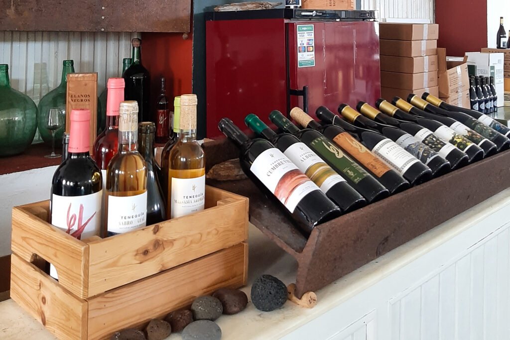 Wine tasting at Bodegas teneguia on La Palma