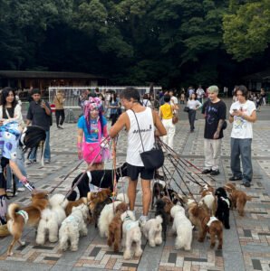 Tokyo Dog service