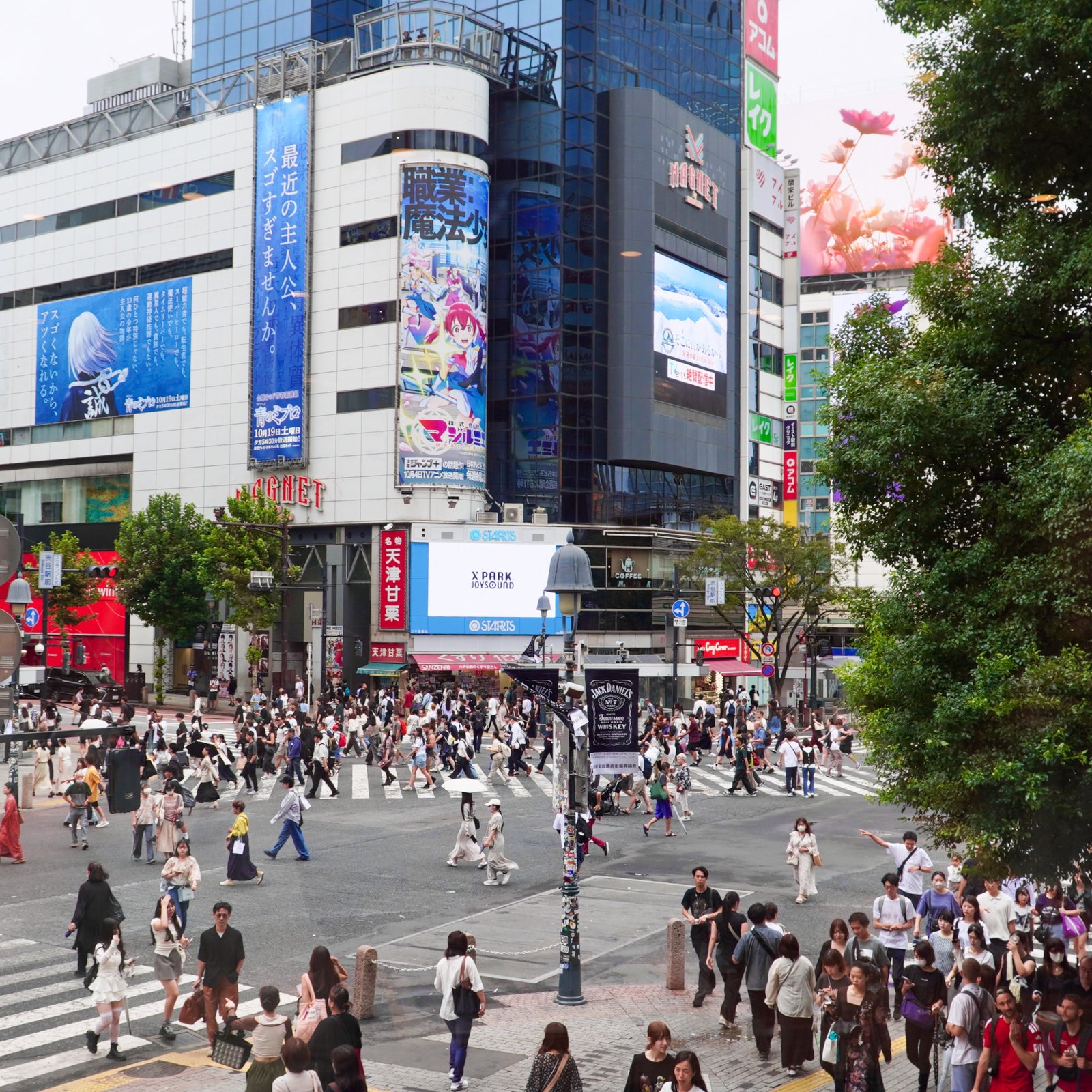 The best way to spend a Day in Shibuya